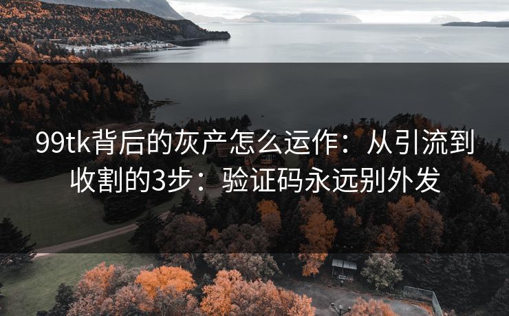 99tk背后的灰产怎么运作：从引流到收割的3步：验证码永远别外发