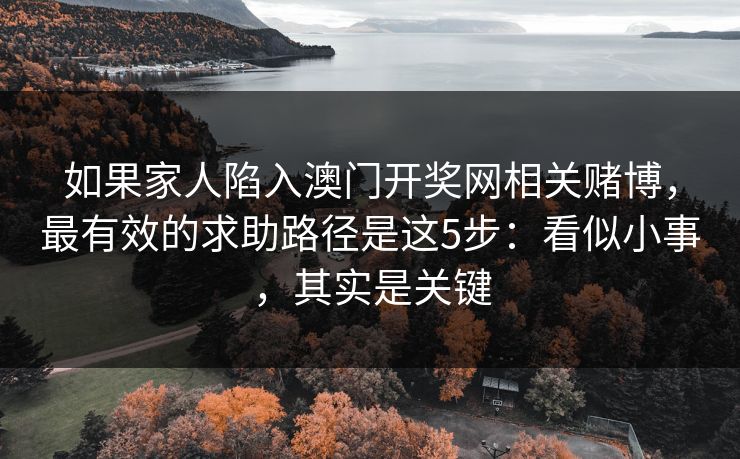 如果家人陷入澳门开奖网相关赌博，最有效的求助路径是这5步：看似小事，其实是关键